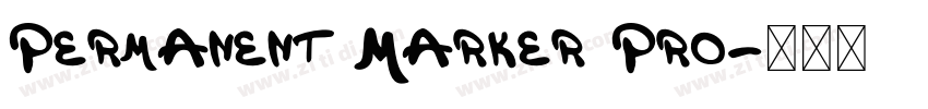 Permanent Marker Pro字体转换